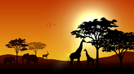 Naklejka na ściany i meble Silhouette animals on savannas in the afternoon