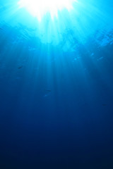 Underwater background. Blue ocean and sunbeams  