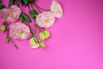 Pink Lisianthus flowers