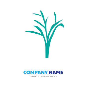 elm tree company logo design