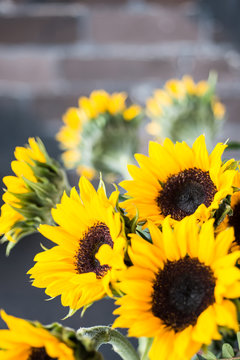 Bouquet of bright sunflowers on a wooden table.