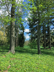 Obraz premium a great spring day