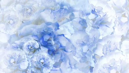 Foto op Aluminium Floral blue-white background.  Blue-white  flowers peonies.  Floral collage.  Flower composition. Nature. © nadezhda F