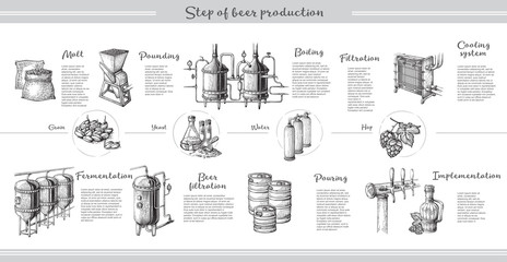 Vector beer infographics with illustrations of brewery process. Ale producing design. Hand sketched lager production scheme.