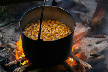 Mushroom soup is cooked on fire.