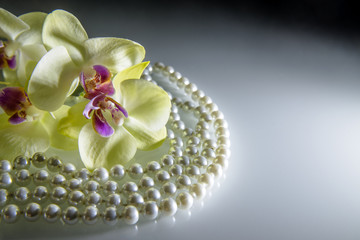     pearl and yellow orchid on a white glass 