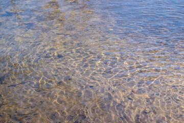 surface of the pond. ripples on the water.
