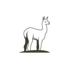 Foto auf Alu-Dibond Llama - vector illustration © mouze_art