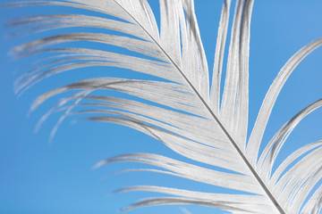 A white feather against the blue sky