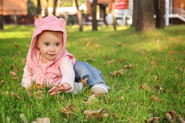 Adorable little girl sitting on grass in autumn park