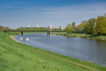 Rzeka Odra w Opolu