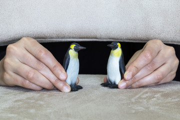 play with animals in the school. penguin and hand on the ground for children activities.