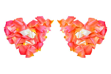 Rose hart on white background