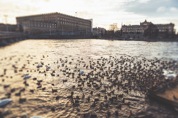 stockholm city scape