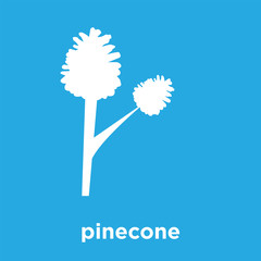 pinecone icon isolated on blue background