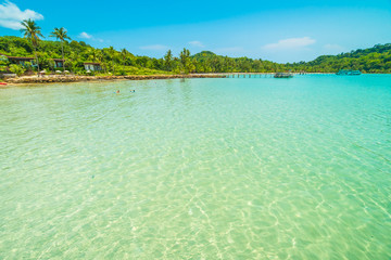 Beautiful tropical beach and sea with coconut palm tree in paradise island