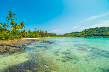 Beautiful tropical beach and sea with coconut palm tree in paradise island