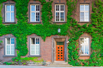 part of a brick building with windows and a door, overgrown with beautiful ivy