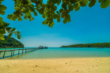 Beautiful tropical beach and sea with coconut palm tree in paradise island