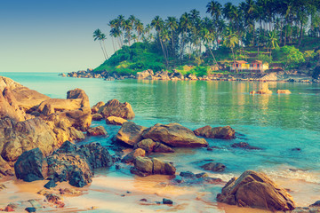 scenic seascape. Large boulders and tall palm trees on the shore. Tinted. - obrazy, fototapety, plakaty