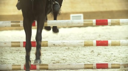 Female equestrian rider running on stallion at show jumping competition