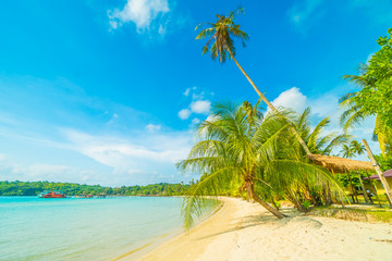 Beautiful tropical beach and sea with coconut palm tree in paradise island