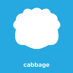 cabbage icon isolated on blue background