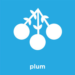 plum icon isolated on blue background