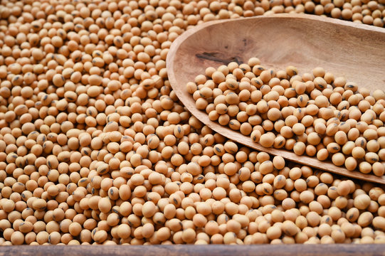 close up of soy bean for background