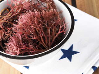 Gigartina Pistillata    Edible red seaweed in the family Gigartina. Binomial name: Gigartina Pistillata.  © efesan