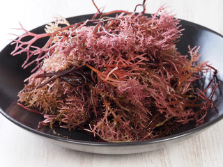 Gigartina Pistillata    Edible red seaweed in the family Gigartina. Binomial name: Gigartina Pistillata.  © efesan