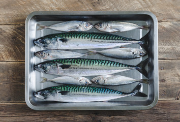 Fresh fish several species in metal tray. Top view.