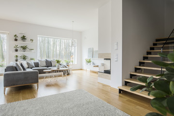 White living room interior with grey corner couch, green fresh plants, carpet on the floor and...