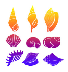 Vector illustration set of seashells, bright colored sea shells silhouette isolated on white background.