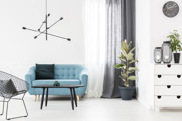 Blue sofa and plant