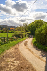 Fototapeta na wymiar Countryside Path in The Farmland, Cotswold