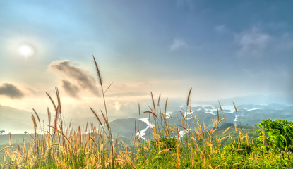 Landscape Ta Dung Lake in the summer morning when the sun shines down to the lake full of mist, the grass wipe the foreground beautiful beauty adorn the idyllic beauty in the highlands of Vietnam