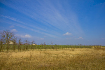 Fototapeta na wymiar Countryside in Poland. Summer landscape.