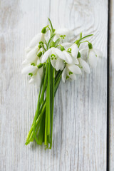 snowdrop on wooden surface