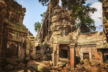 Ta Prohm temple - a symbiosis of roots and stones.