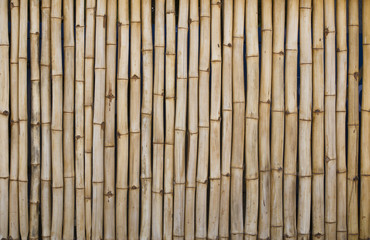 Canisse ou brise vue en bambou, clôture ou palissade en bois naturel.