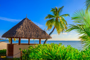 Fototapeta na wymiar Sea view of a hut between palm trees and plants