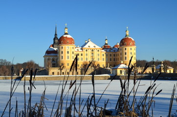 Schloss Moritzburg im Winter