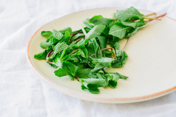 Bunch of fresh leaves of mint in a plate. White background. Rustic style.