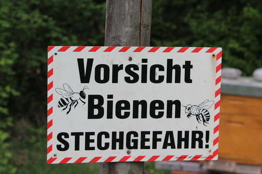 Schild Vorsicht Bienen Stechgefahr