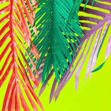 Colorful tropical leaves on vivid green background. Minimal summer exotic concept.