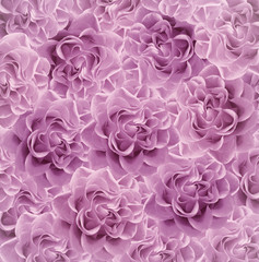 Vintage floral   light pink beautiful background.  Flower composition. Bouquet of flowers from    pink roses. Close-up. Nature.