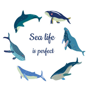 Poster with cute whales and quote - nice design, vector graphic illustration