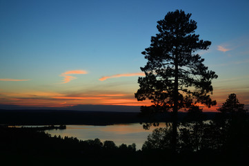 Fototapeta na wymiar Lone Tree on Hill overlooking lake at sunset