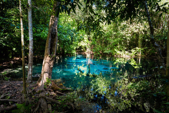 Blue Pond National Park Krabi
